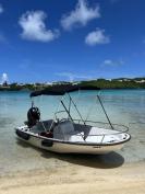 13ft Boston Whaler