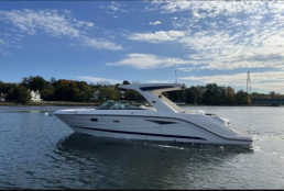 Sea Ray SLX310