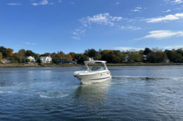 Sea Ray SLX 310