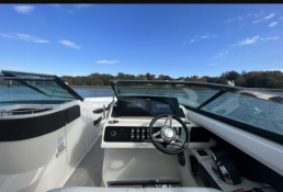 Sea Ray SLX 310