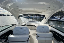 Sea Ray SLX 310