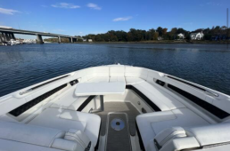 Sea Ray SLX 310