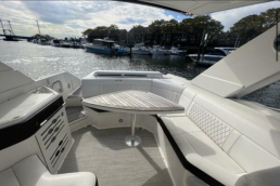 Sea Ray SLX 310