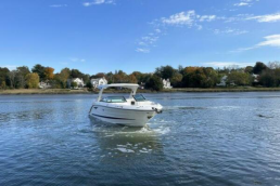 Sea Ray SLX 310