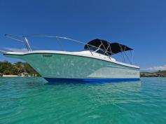 Bayliner Trophy with Mercury Four Stroke