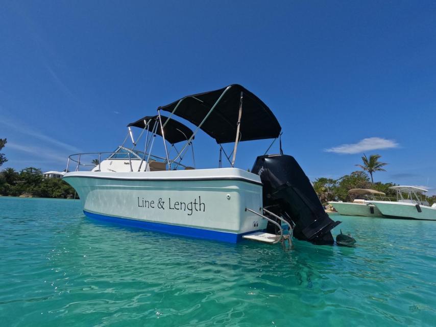 New Price - Bayliner Trophy with Mercury Four Stroke