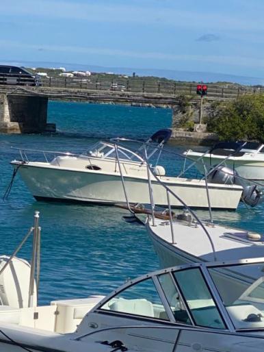 Sea Hunt Cuddy Walkaround