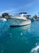 Sea Hunt Cuddy Walkaround