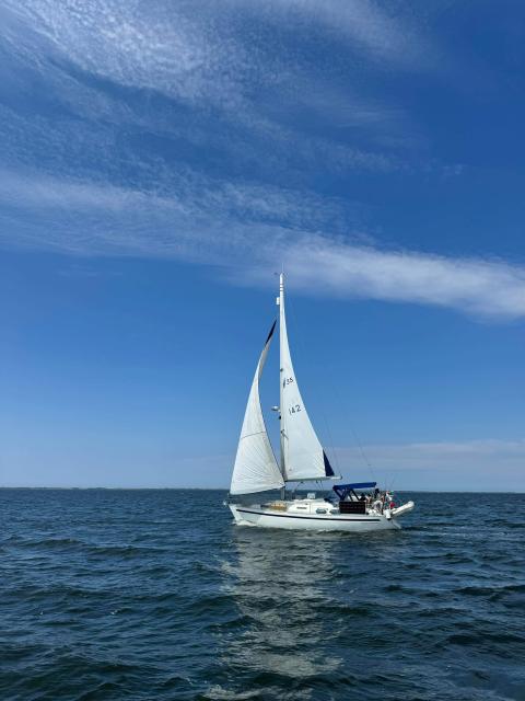 Bavaria 36 Holiday