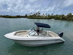Pursuit DC235 2016 w. Yamaha 250