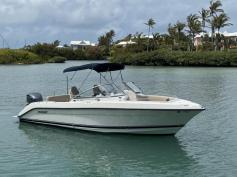 Pursuit DC235 2016 w. Yamaha 250
