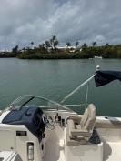 Pursuit DC235 2016 w. Yamaha 250