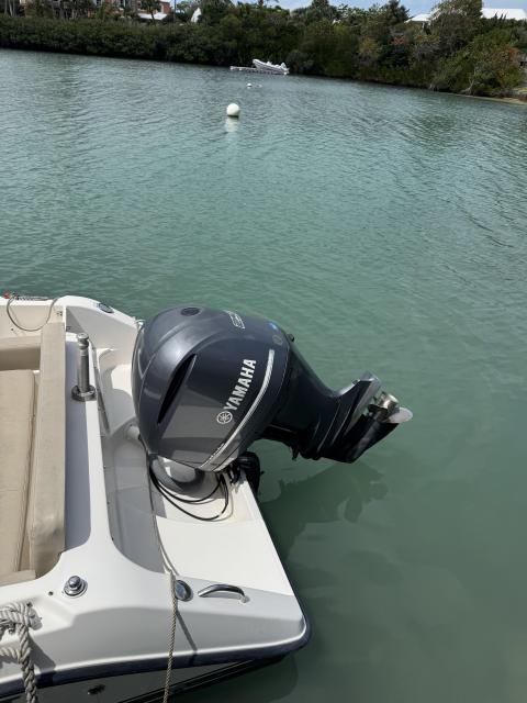 Pursuit DC235 2016 w. Yamaha 250