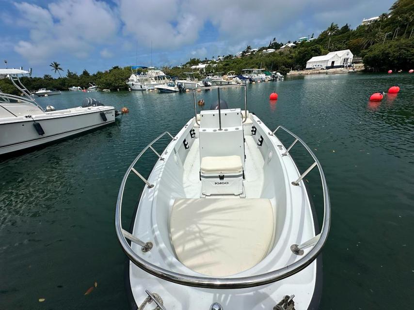 17ft Boston Whaler Outrage - Turnkey Ready for Summer