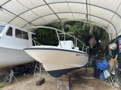 17ft Boston Whaler Outrage - Turnkey Ready for Summer