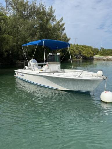 18 foot Wellcraft