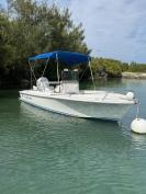 18 foot Wellcraft