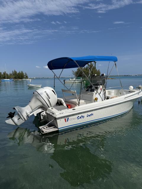 18 foot Wellcraft