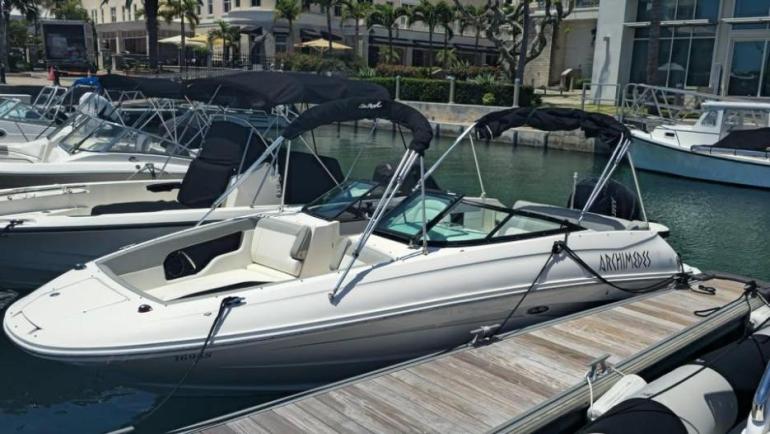 Sea Ray SDX 240 Outboard