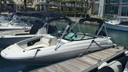 Sea Ray SDX 240 Outboard