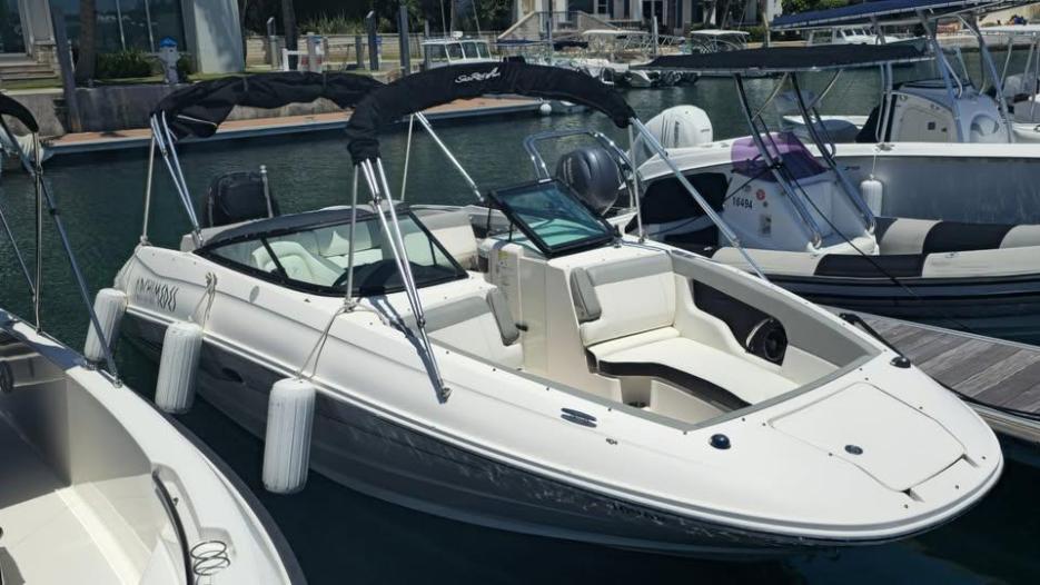 Sea Ray SDX 240 Outboard