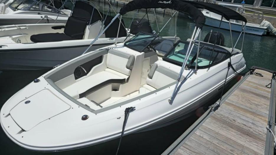 Sea Ray SDX 240 Outboard