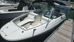 Sea Ray SDX 240 Outboard