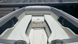 Sea Ray SDX 240 Outboard