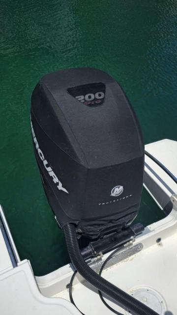 Sea Ray SDX 240 Outboard