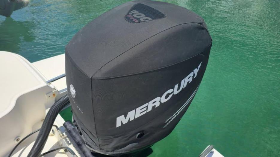 Sea Ray SDX 240 Outboard