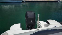 Sea Ray SDX 240 Outboard