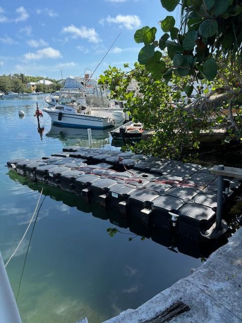 17ft Inflatable 115 HP Yamaha with Jet Dock