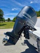 Sportsman 232
