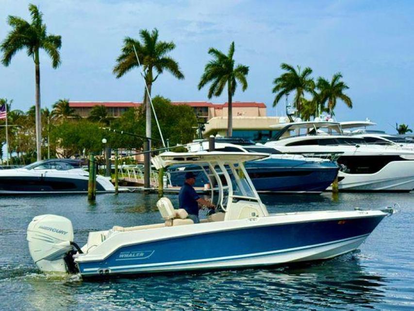Boston Whaler