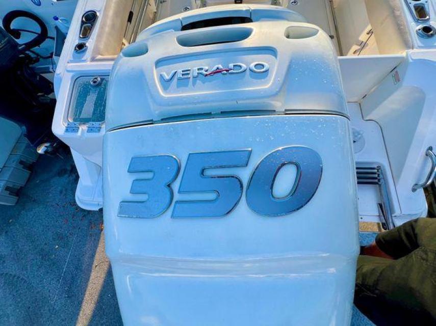 Boston Whaler
