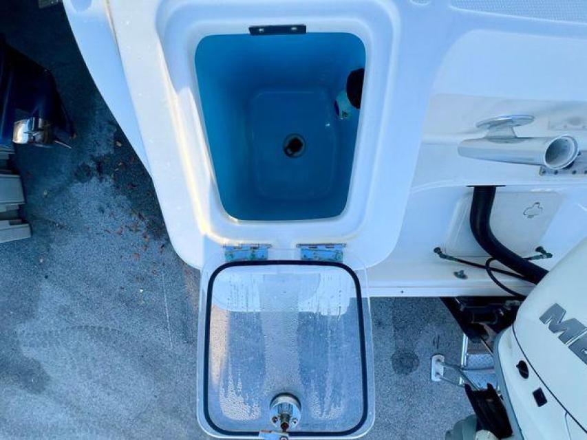 Boston Whaler
