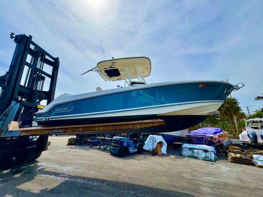 Boston Whaler