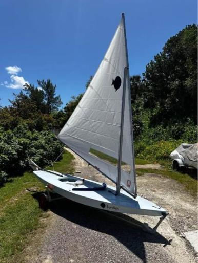 Brand New Sunfish Sailboats