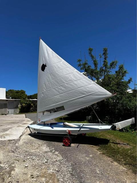Brand New Sunfish Sailboats