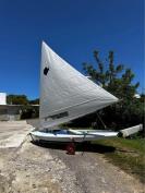 Brand New Sunfish Sailboats