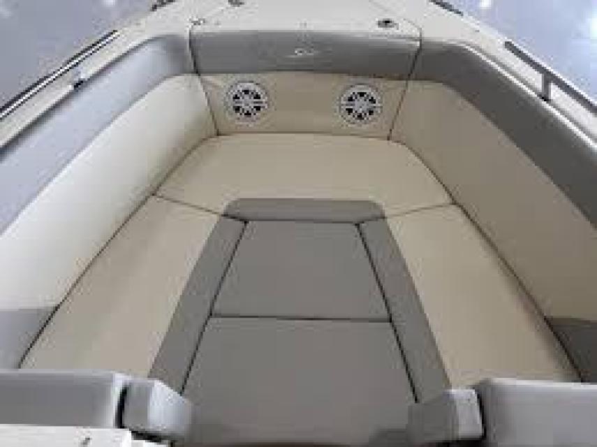 NEW 240 SCOUT DORADO