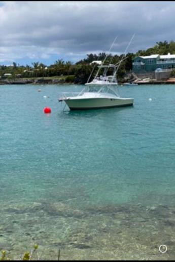 Mooring for Rent, Evans Bay