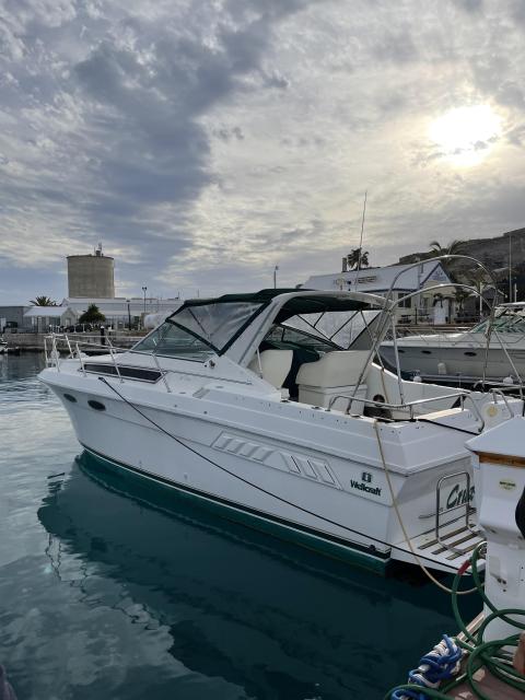 Wellcraft - Sport 3200 St. Tropez