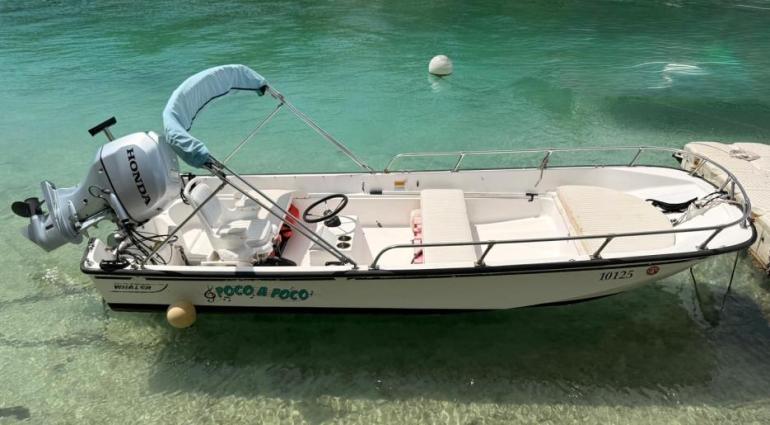 SOLD: Boston Whaler 17