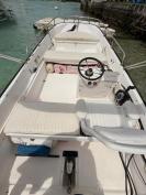 SOLD: Boston Whaler 17