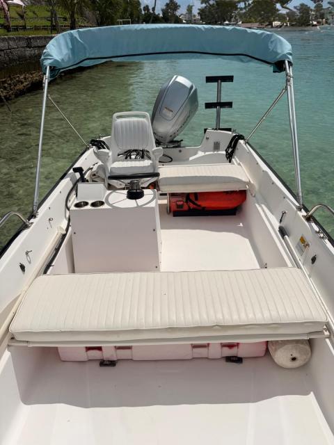 SOLD: Boston Whaler 17