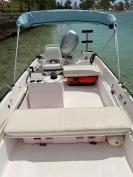 SOLD: Boston Whaler 17
