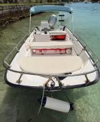 SOLD: Boston Whaler 17