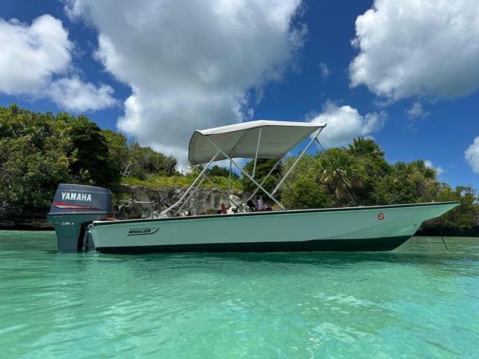 PRICE REDUCTION! 15ft Boston Whaler Super sport