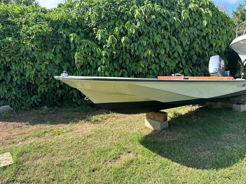 PRICE REDUCTION! 15ft Boston Whaler Super sport
